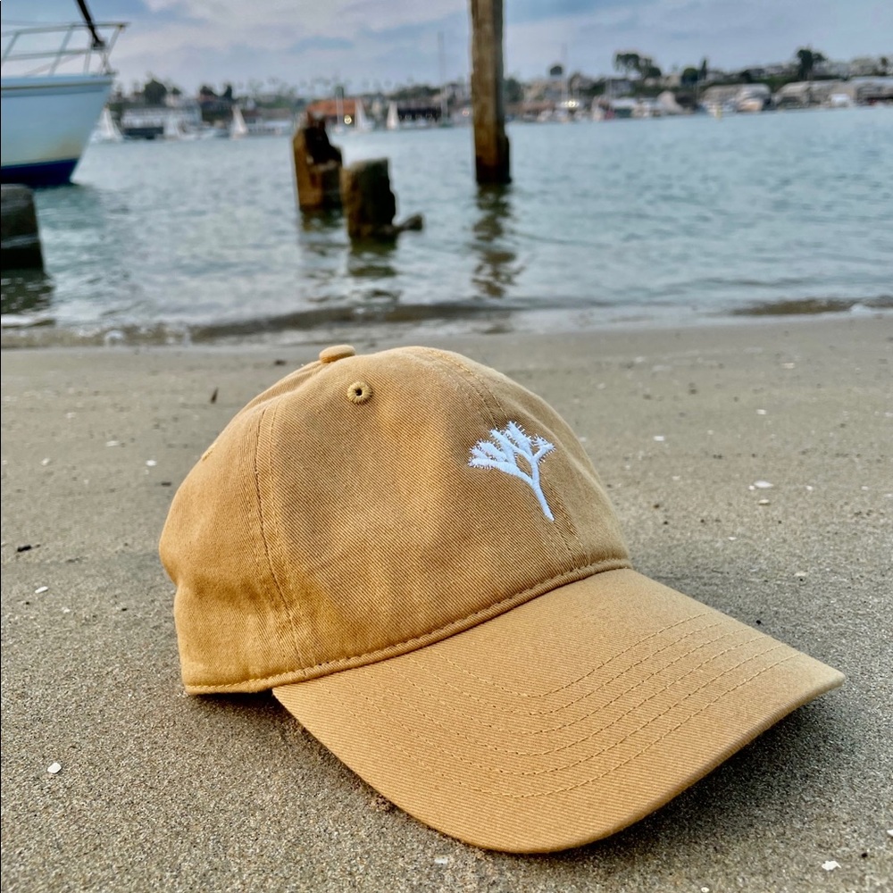 • Joshua Tree Dad Hat • - Picture 5 of 5